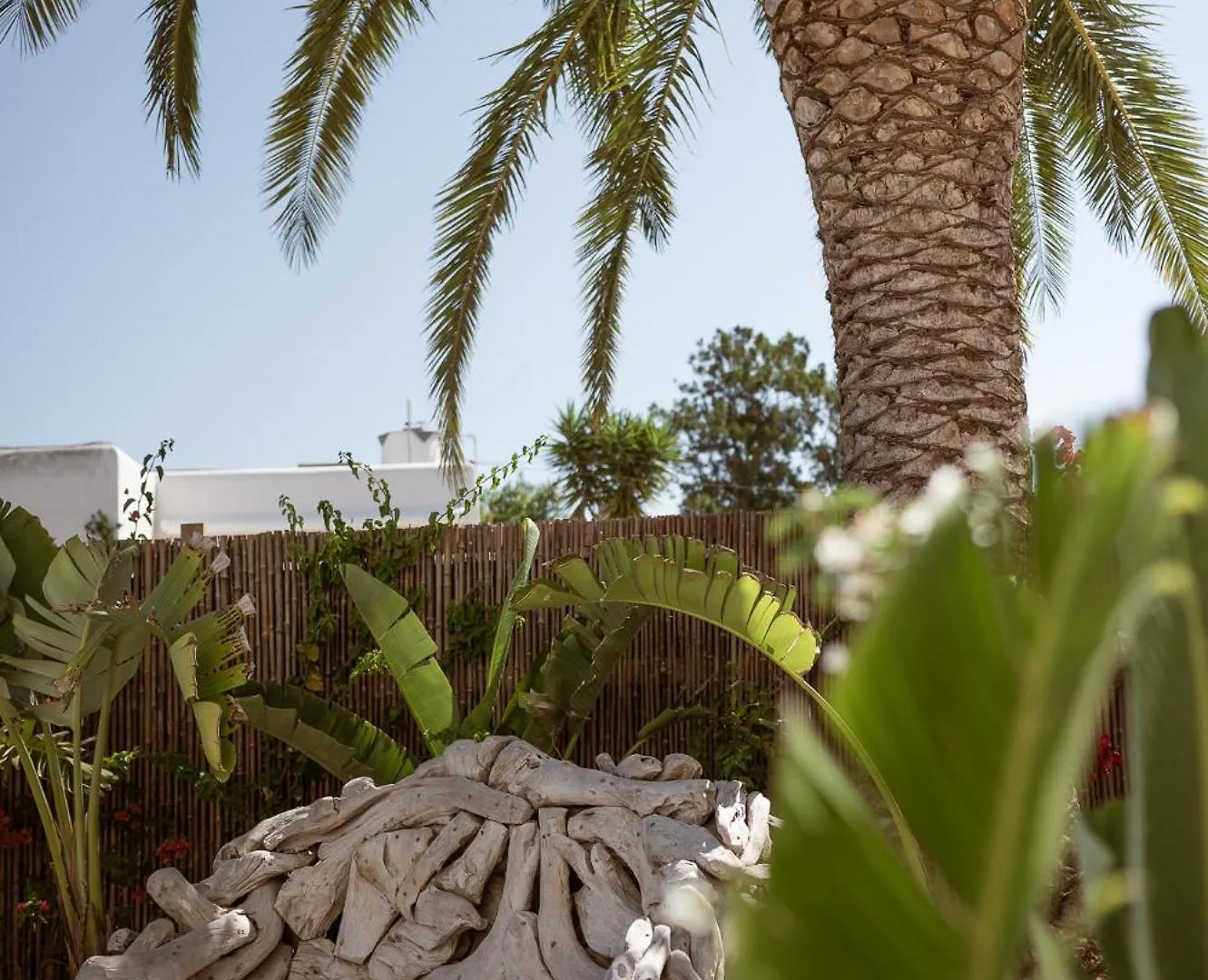 Hotel Galfi - Boutique & Adults Only San Antonio  3*, San Antonio (Ibiza)