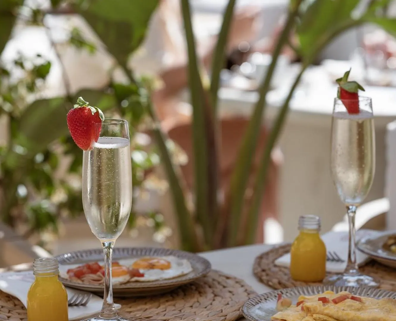 Hotel Galfi - Boutique & Adults Only San Antonio  3*, San Antonio (Ibiza) Spain