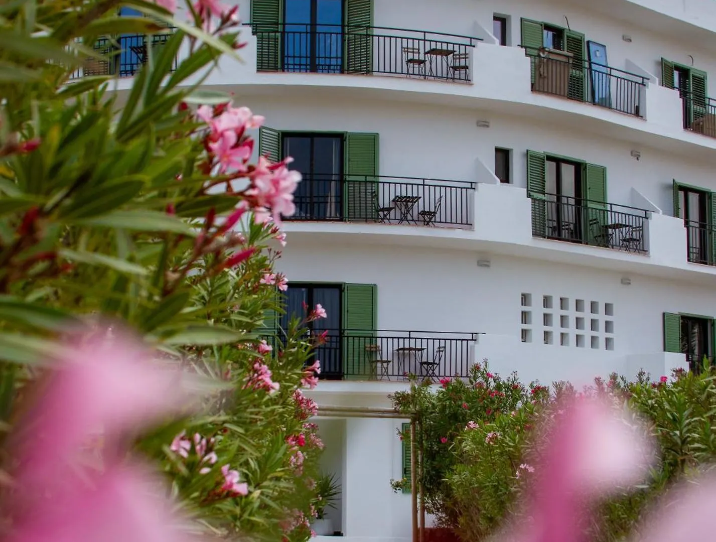 Hotel Galfi - Boutique & Adults Only سان أنطونيو
